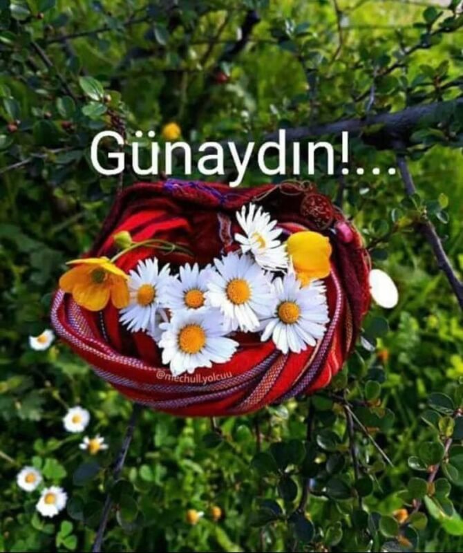 Good Morning Turkish Images, Wishes, Greetings & GIFs