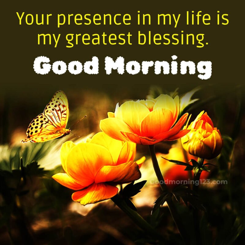 Start Her Day Right: Good Morning Images and Messages for Wife