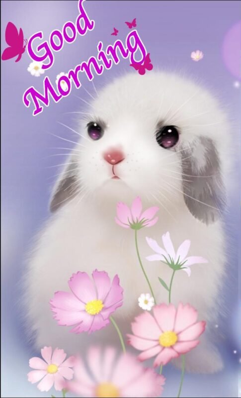 Cute Rabbit Good Morning Images