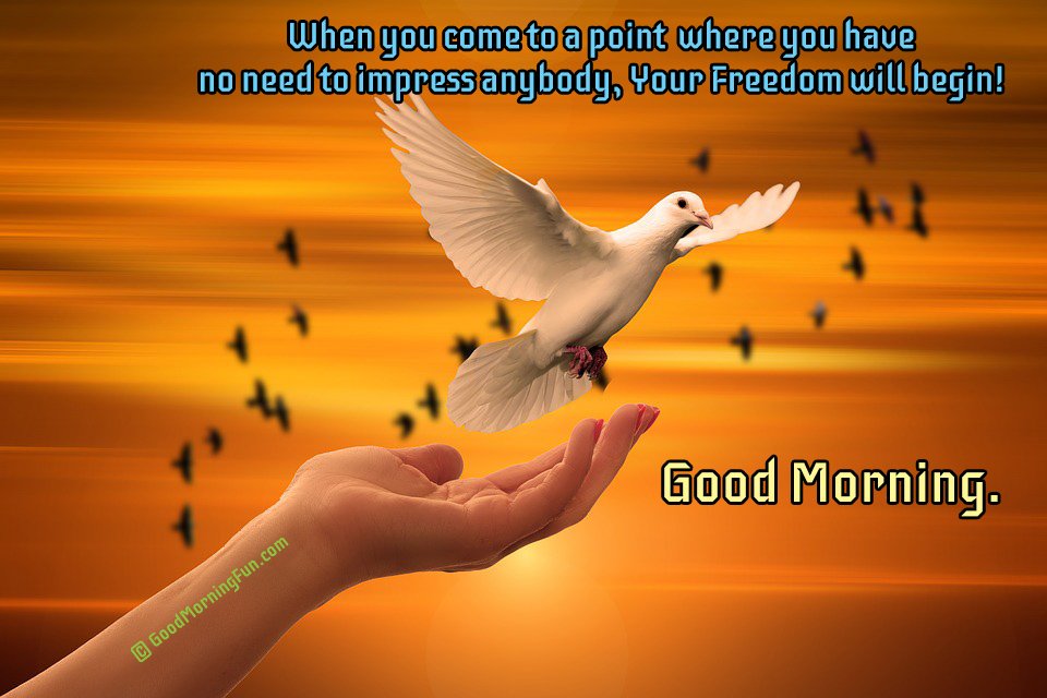 Freedom Spiritual Quotes Good Morning Dove Hand Trust God