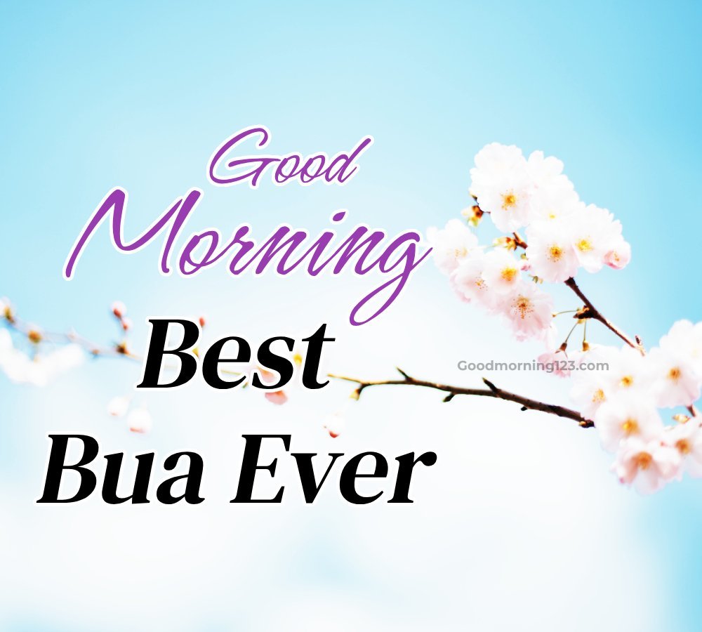 Good Morning Bua Ji Best Bua Ever