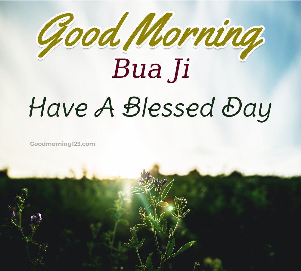 Good Morning Bua Ji Have A Blessed Day