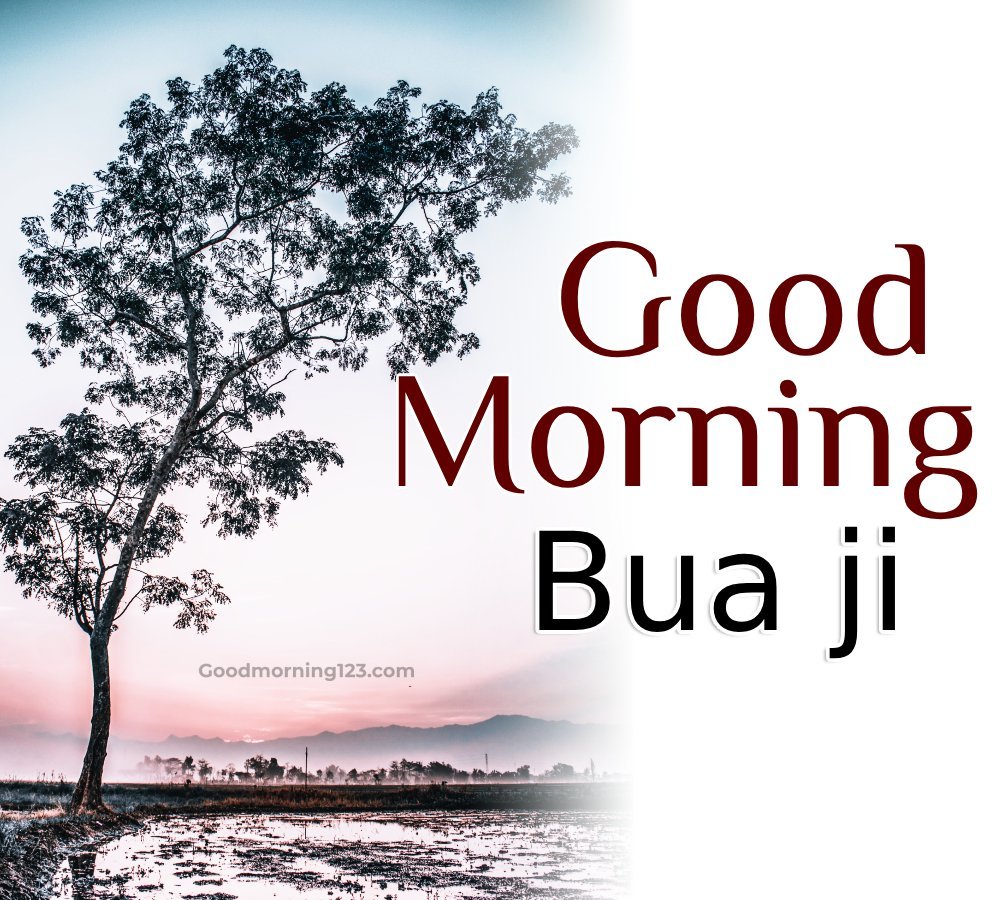 Good Morning Bua Ji Image