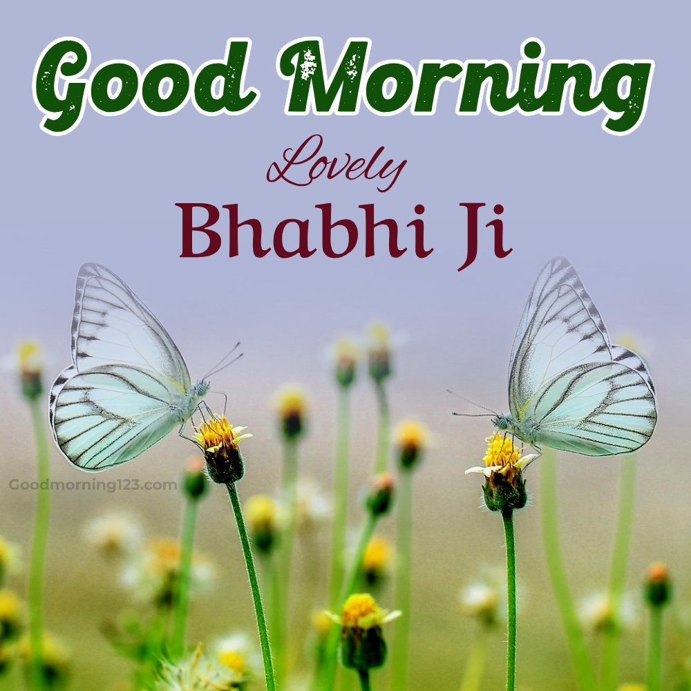 Good Morning Lovely Bhabhi Ji
