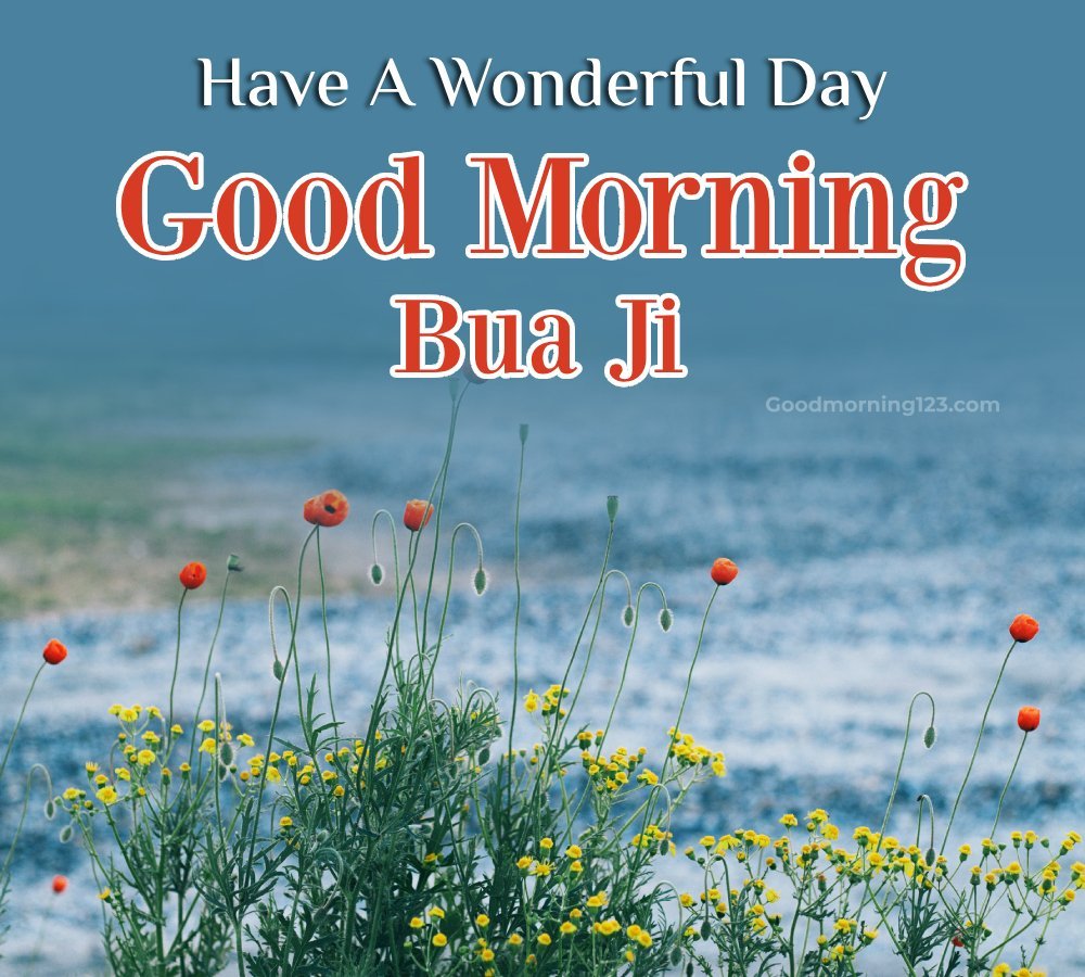 Have A Wonderful Day Good Morning Bua Ji