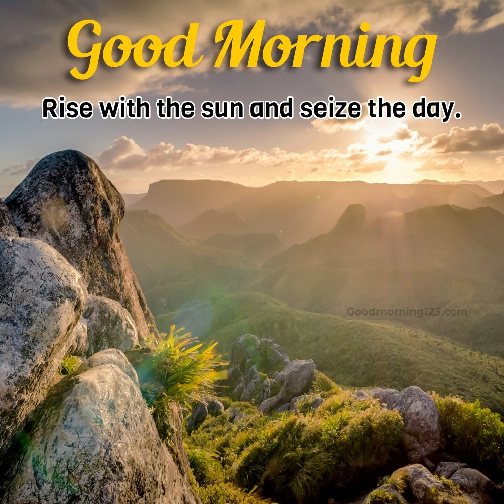 Rise With The Sun And Seize The Day