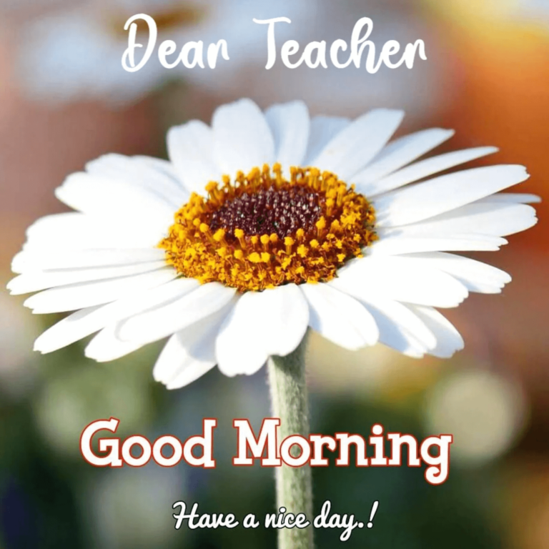 Good Morning Images And Wishes For Our Respected Teachers