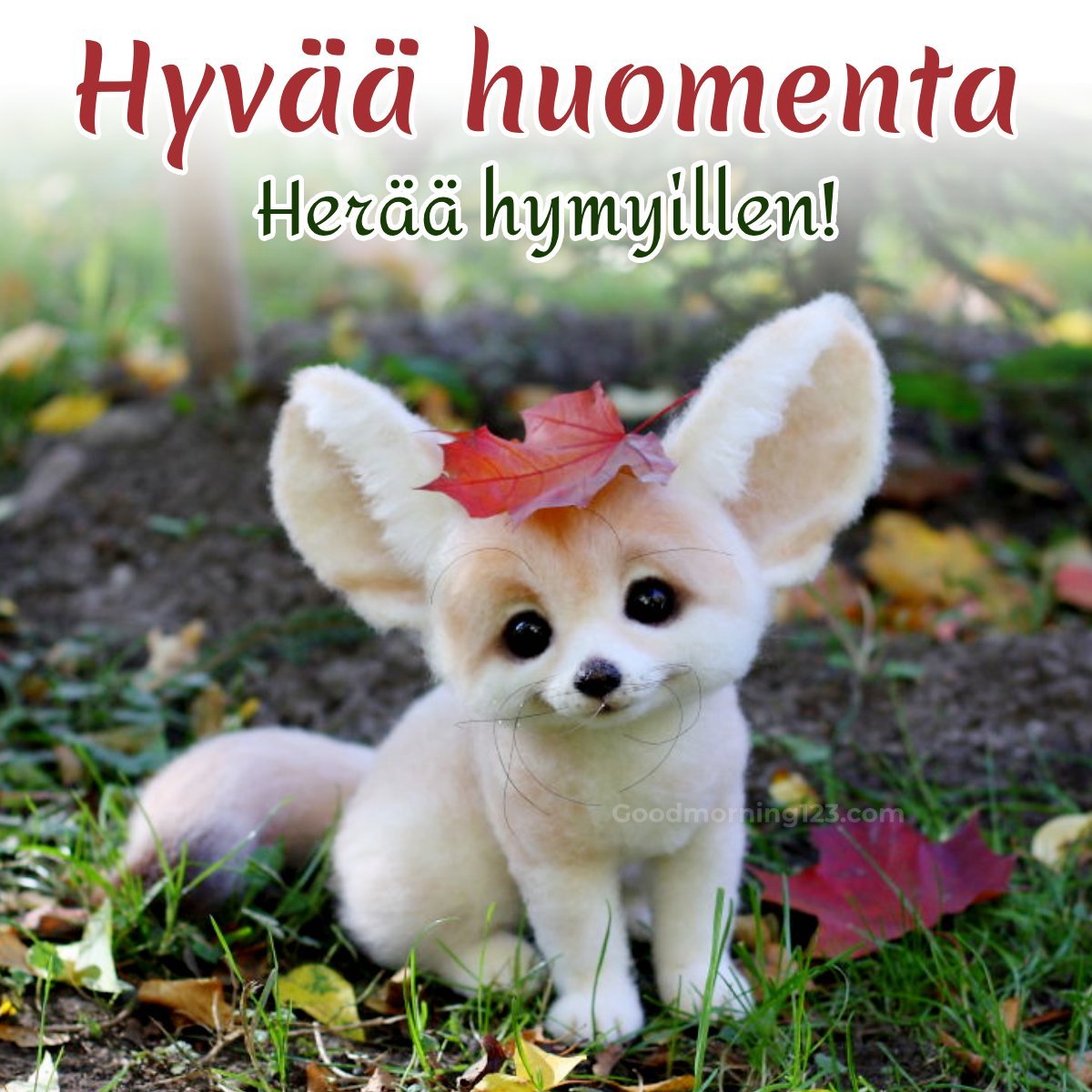 Good Morning In Finnish Photos & Messages