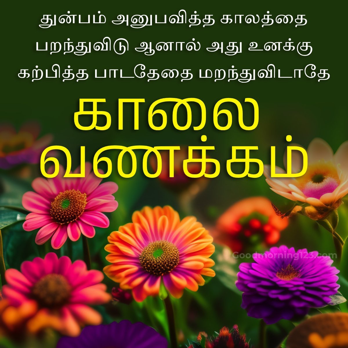 Good Morning Tamil Images, Wishes & Greetings