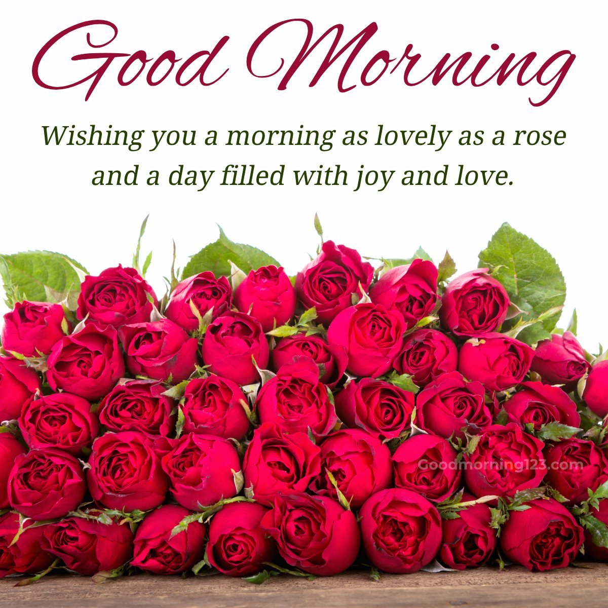 Good Morning Flower For Her Images
