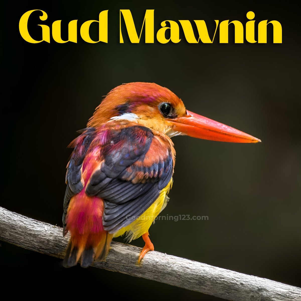 Good Morning Images and Messages In Jamaican
