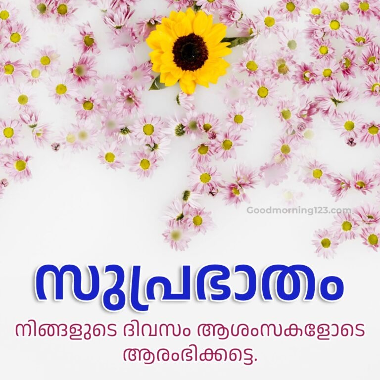 Vibrant Wishes Meaning In Malayalam Capture Art Vibrant Wishes Meaning In Malayalam Capture Art
